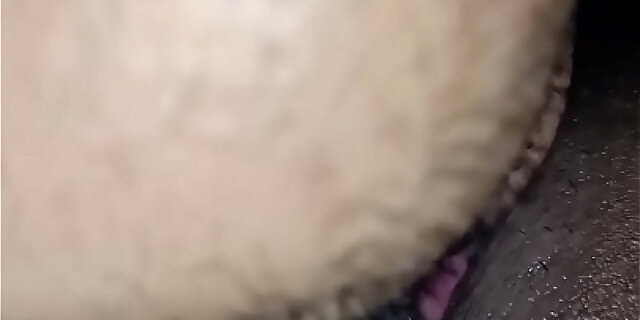 bukkake,creampie,cum,doggystyle,oral,orgy,pussy,wife