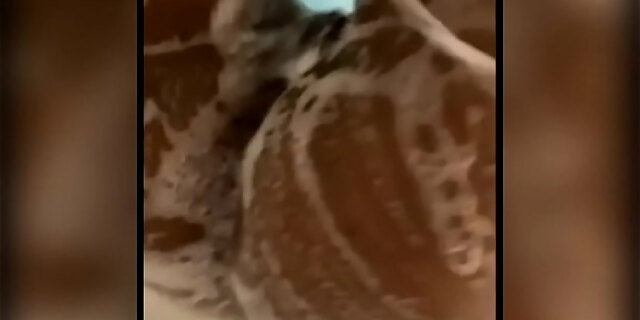 big ass,big tits,boobs,ebony,fingering,pussy,shaved,shaved pussy