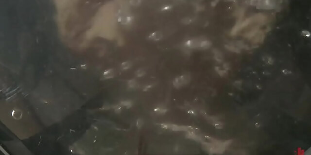 anal,ass,bdsm,bondage,domination,fetish,gagging,lesbian,lesbian anal,lezdom,slave,strapon,toilet,whipped