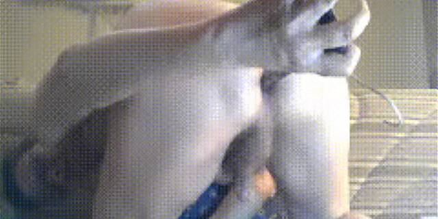 anal,anus,hairy,homemade,mature,molten