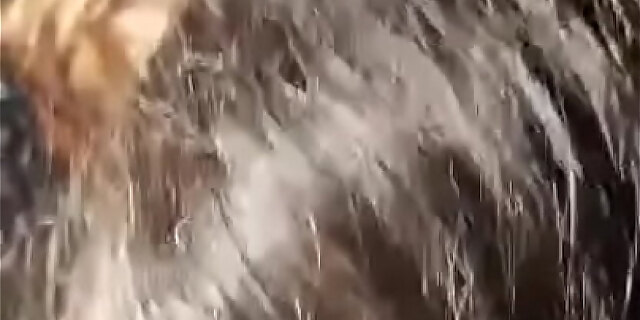 cuckold,dirty,girlfriend