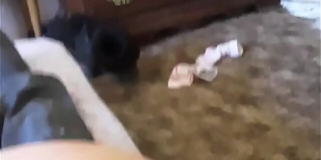 amateur,bbc,big tits,interracial,slut