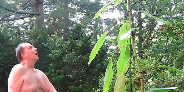 bizarre,cum,cumshot,forced,masturbation,mature,orgasm,outdoor,sex