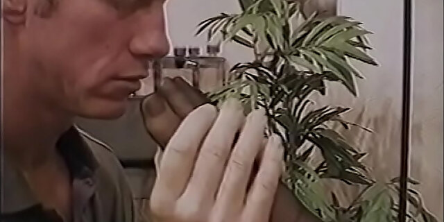 black,brunette,couch,feet,femdom,fetish,foot fetish,milf,model,stockings