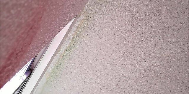 amateur,ass,doggystyle,real,sex